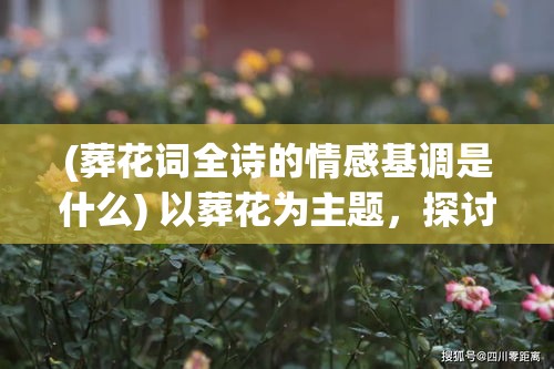 (葬花词全诗的情感基调是什么) 以葬花为主题，探讨植物情感交流：如何在虚拟现实中拯救绝种花卉